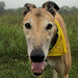 Meet your Posher, Leeann